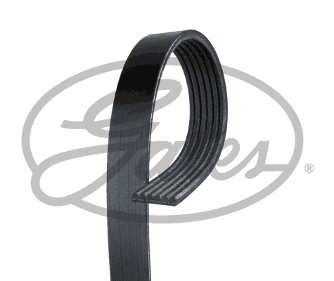 Micro-V Belt  (Cruz)