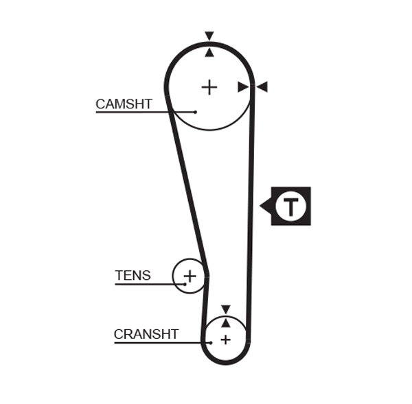 PowerGrip Belt  (Verna 1.3)