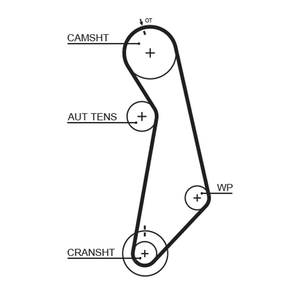 PowerGrip Belt  (Octavia A4)