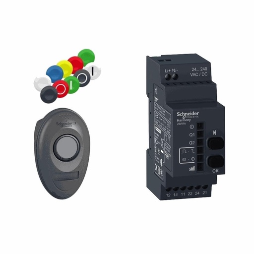 [C01XB5RMA04] Schneider Electric - Pack with 1 wireless push button + 1 configurable receiver + 1 set of 10 colored caps, plastic, Ø22, 24...240 V AC/DC - XB5RMA04